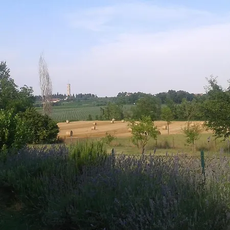 Monte Maino * 代森扎诺-德尔加达