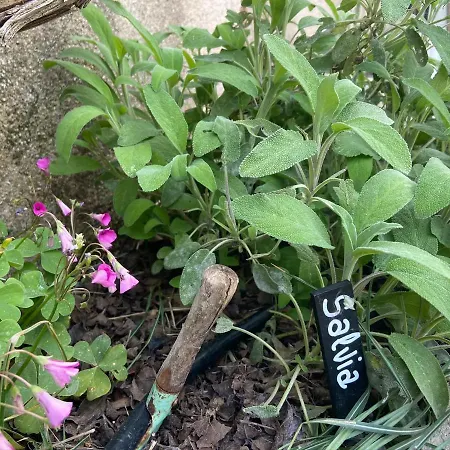 Monte Maino 度假居 代森扎诺-德尔加达