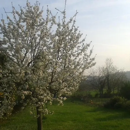 Monte Maino 代森扎诺-德尔加达