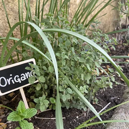 度假居 Monte Maino 代森扎诺-德尔加达