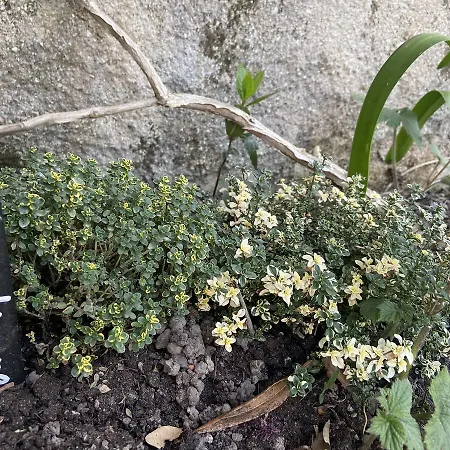 Monte Maino 度假居 代森扎诺-德尔加达