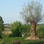 بيت للعطل Monte Maino *