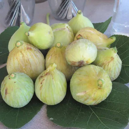 Monte Maino * דסנזאנו דל גארדה